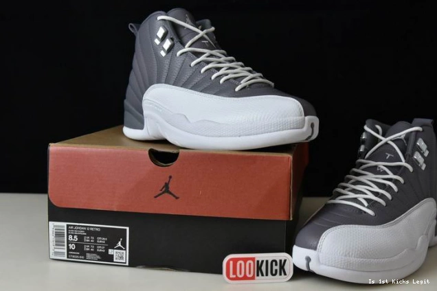 STEALTH 12 CT8025-610 AIR JORDAN 0709